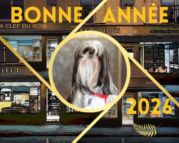 ✨ Meilleurs vœux sur mesure ✨