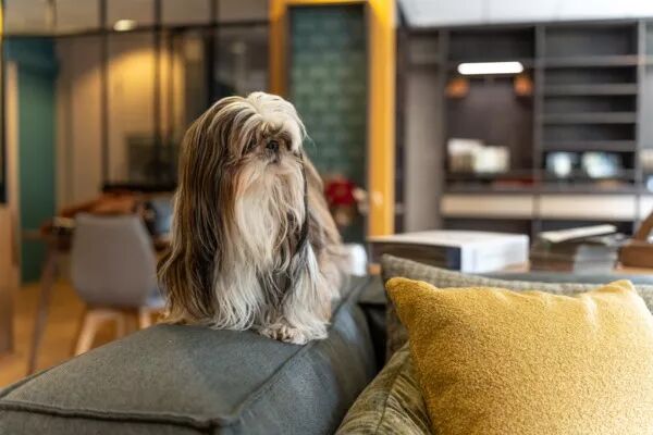 L'équipe de la clef du bois